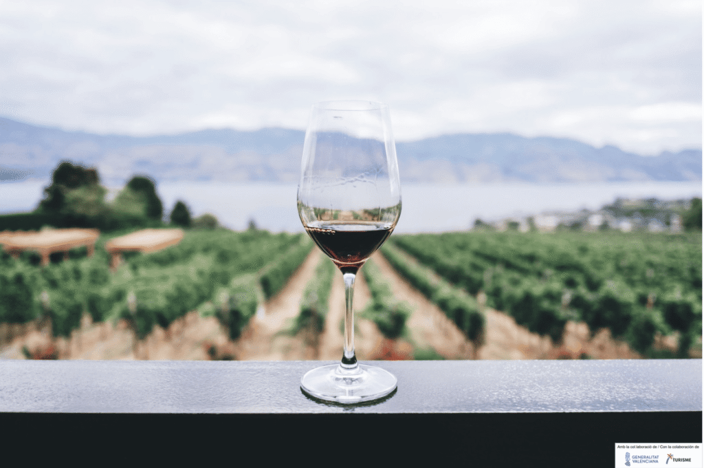 Bodegas de Teulada: copa de vino tinto con viñedos de moscatel de Teulada en la Marina Alta